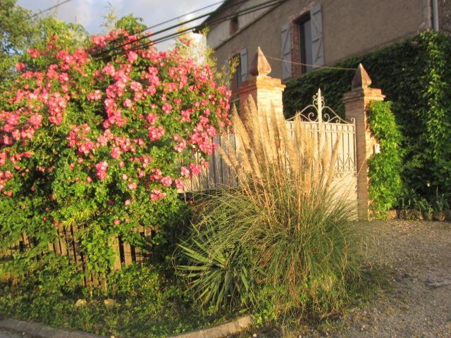 La Demeure De La Coste Bed & Breakfast Vieux  Екстериор снимка